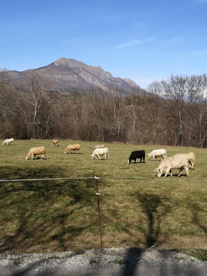 Chalet Bastilor La Joue du Loup Luaran gambar